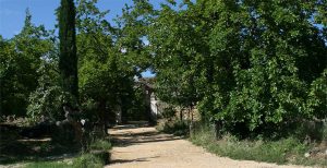 entrée domaine, au loin la maison
