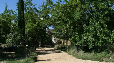 entrée domaine, au loin la maison