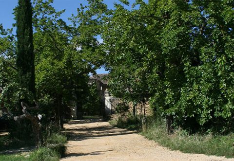 entrée domaine, au loin la maison