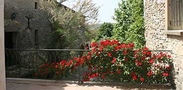 Terrasse vue sur le jardin