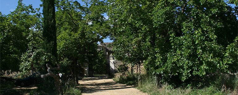 entrée domaine, au loin la maison